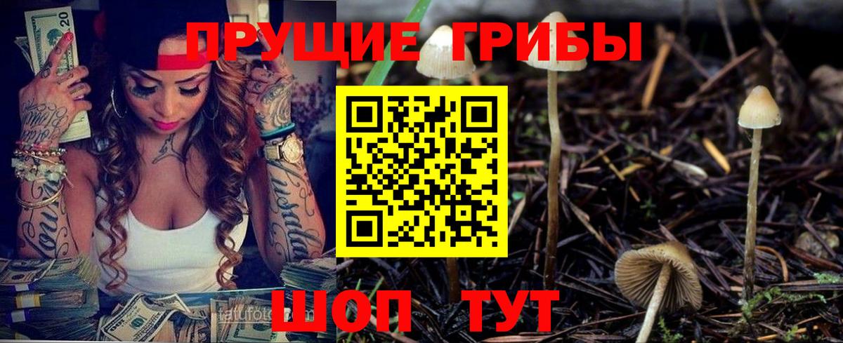 Псилоцибиновые грибы Psilocybine cubensis Миллерово